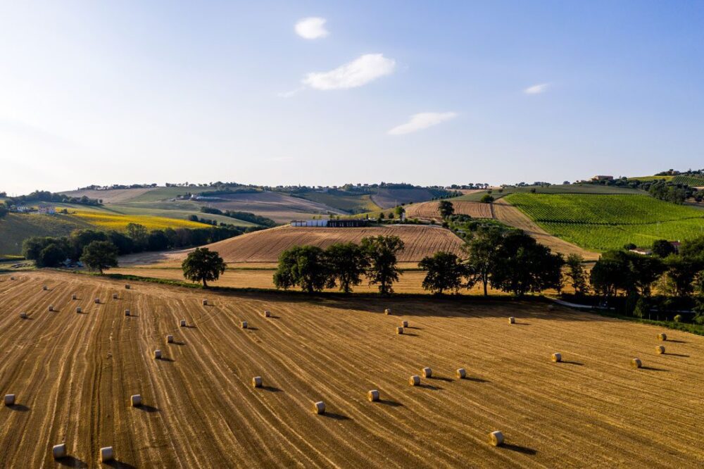 Paste din Italia