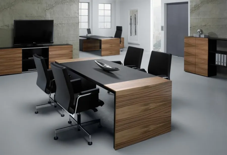 Birou pentru Director