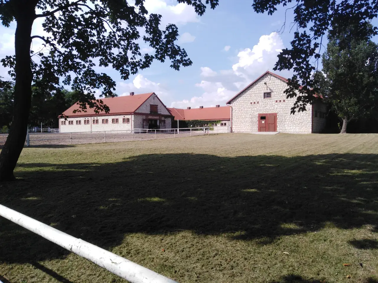 Cai arabi în Polonia