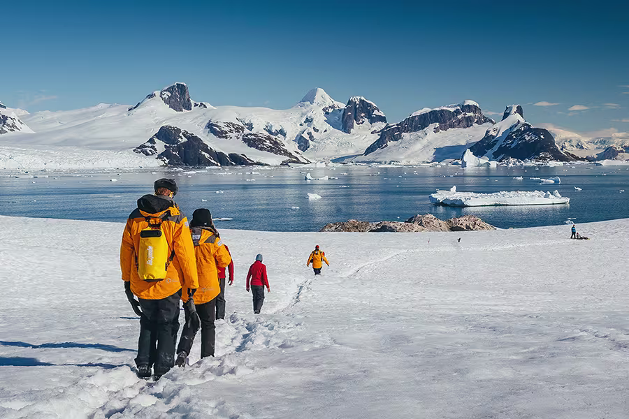Cât costă o excursie în Antarctica