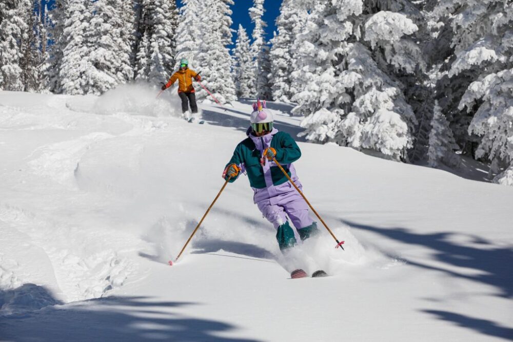 Cât Costă Schiurile Premium