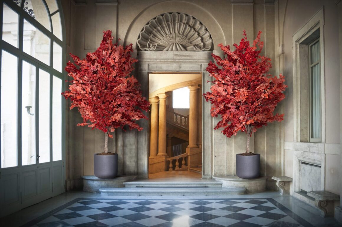 În ce constă stabilizarea plantelor