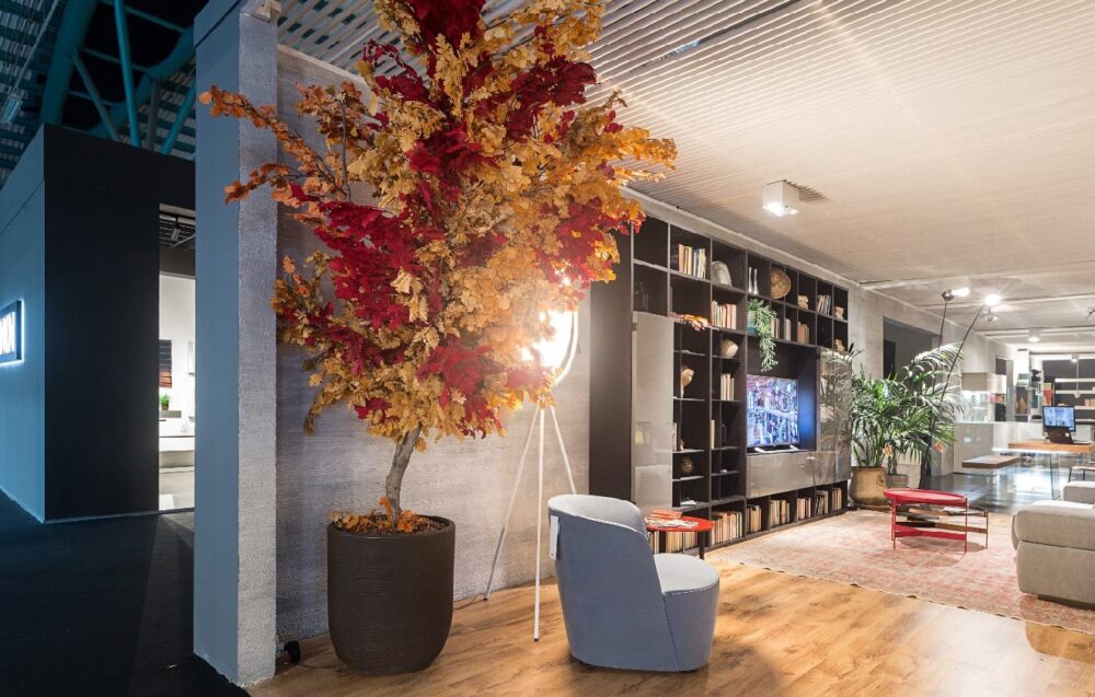 Cum să stabilizezi plantele Blog