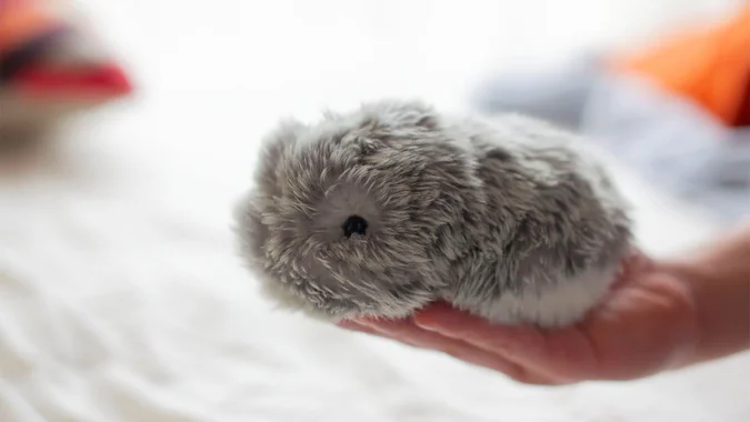 Este Moflin un robot