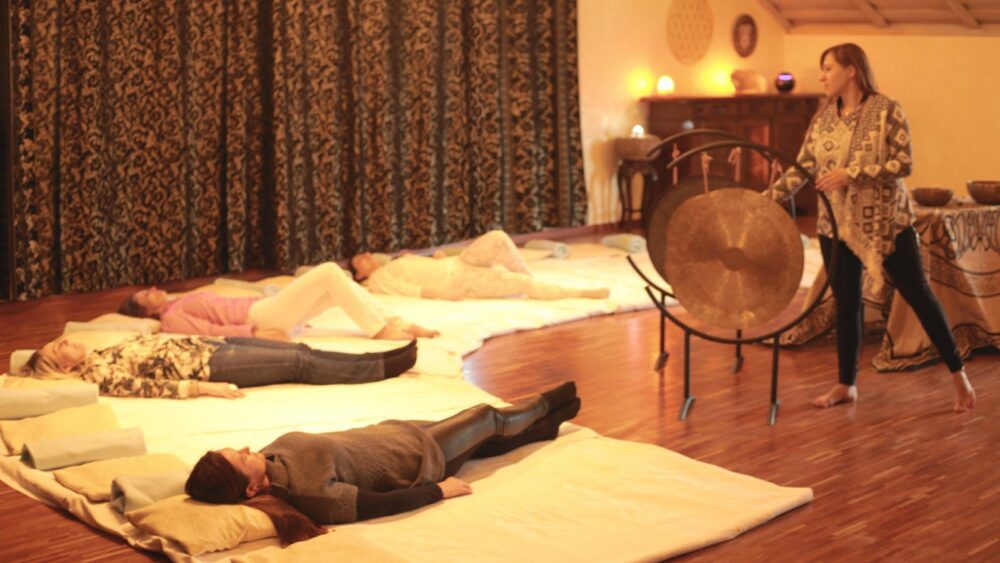 Hotel Manor House Camera BioVitalității