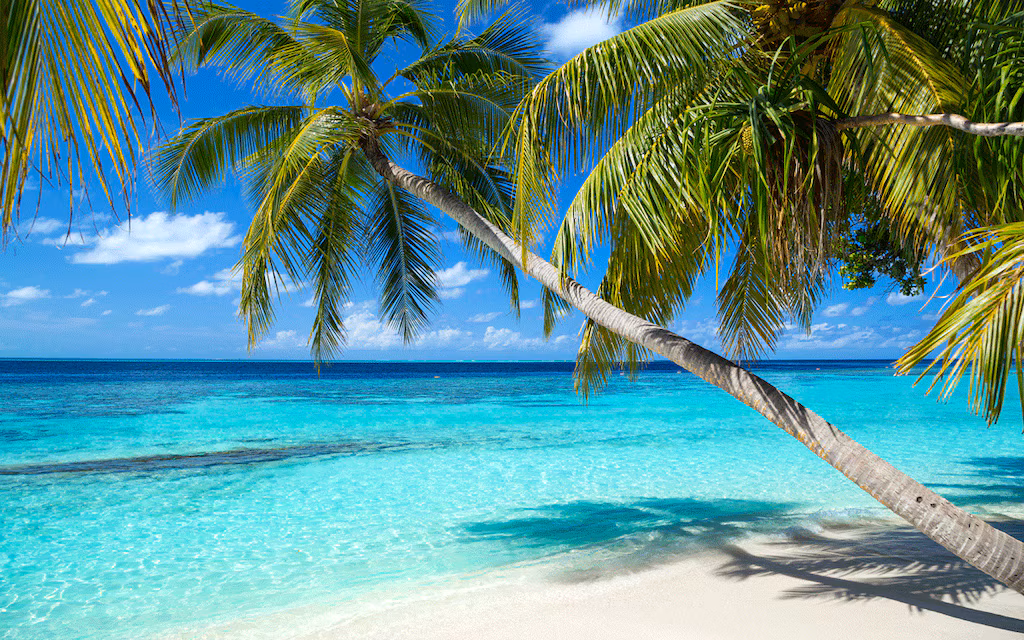 Vacanță în Caraibe