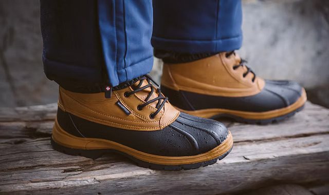 Vertigo Alpes – ce fel de companie este?