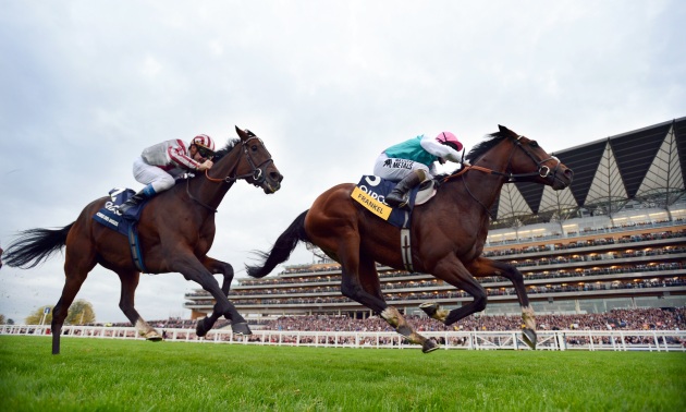 Frankel câștigă în fața lui Cirrus Des Aigles 20 10 12 Foto Bill Selwyn