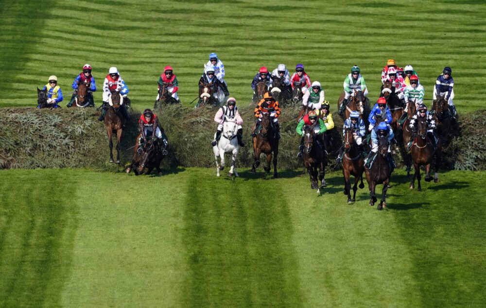 Grand National Curse de cai