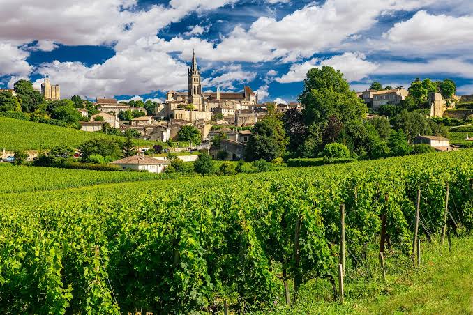 Regiunea Bordeaux Viticolă