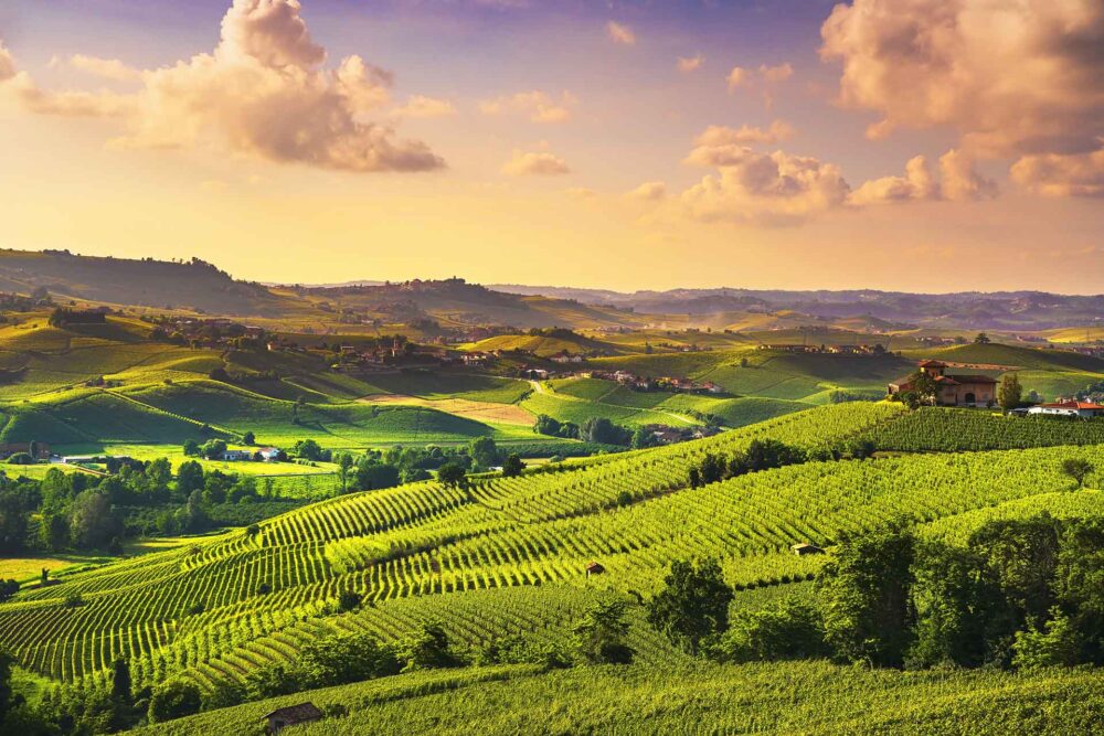 Panoramă la apus peste podgoriile Langhe, Barolo, Piemont, Italia Europa