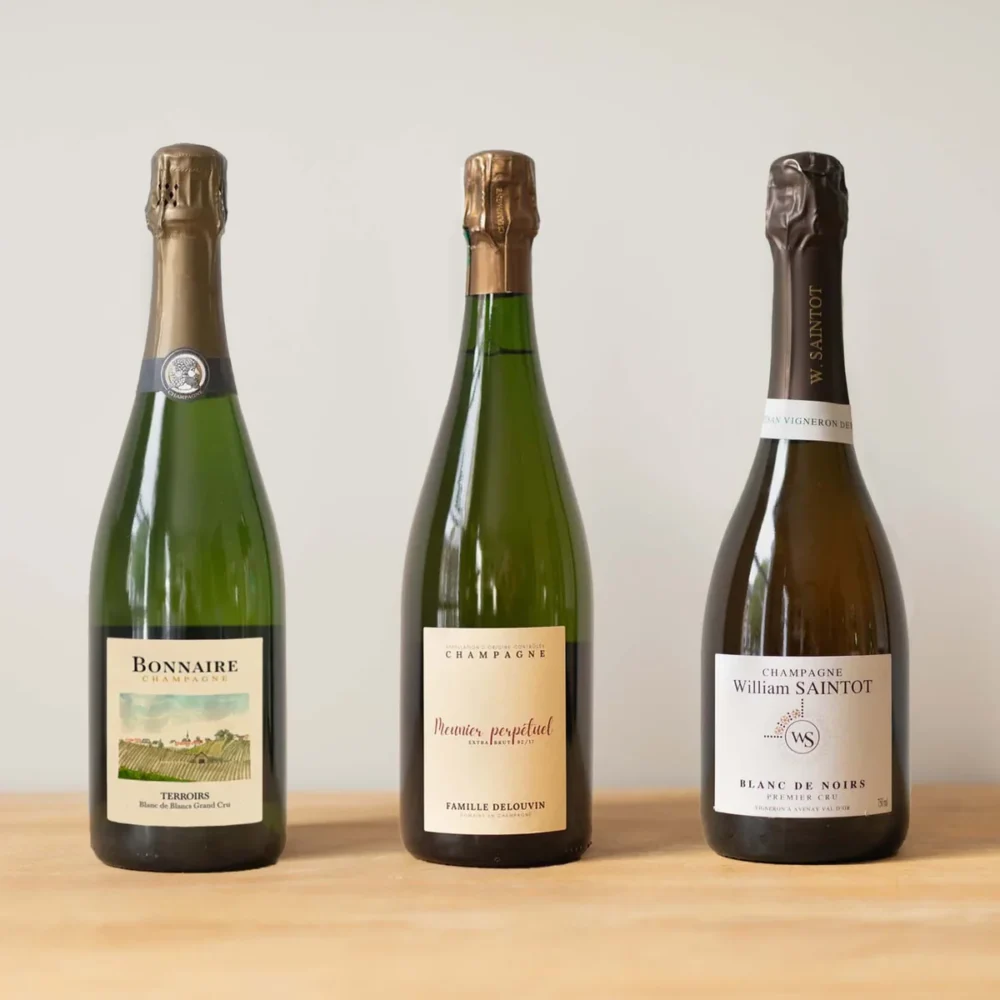 Blanc De Blancs Vs Blanc De Noirs Diferențe