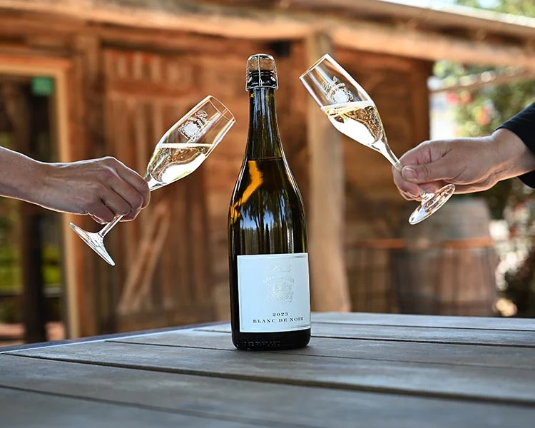 Blanc De Blancs Vs Blanc De Noirs Preț